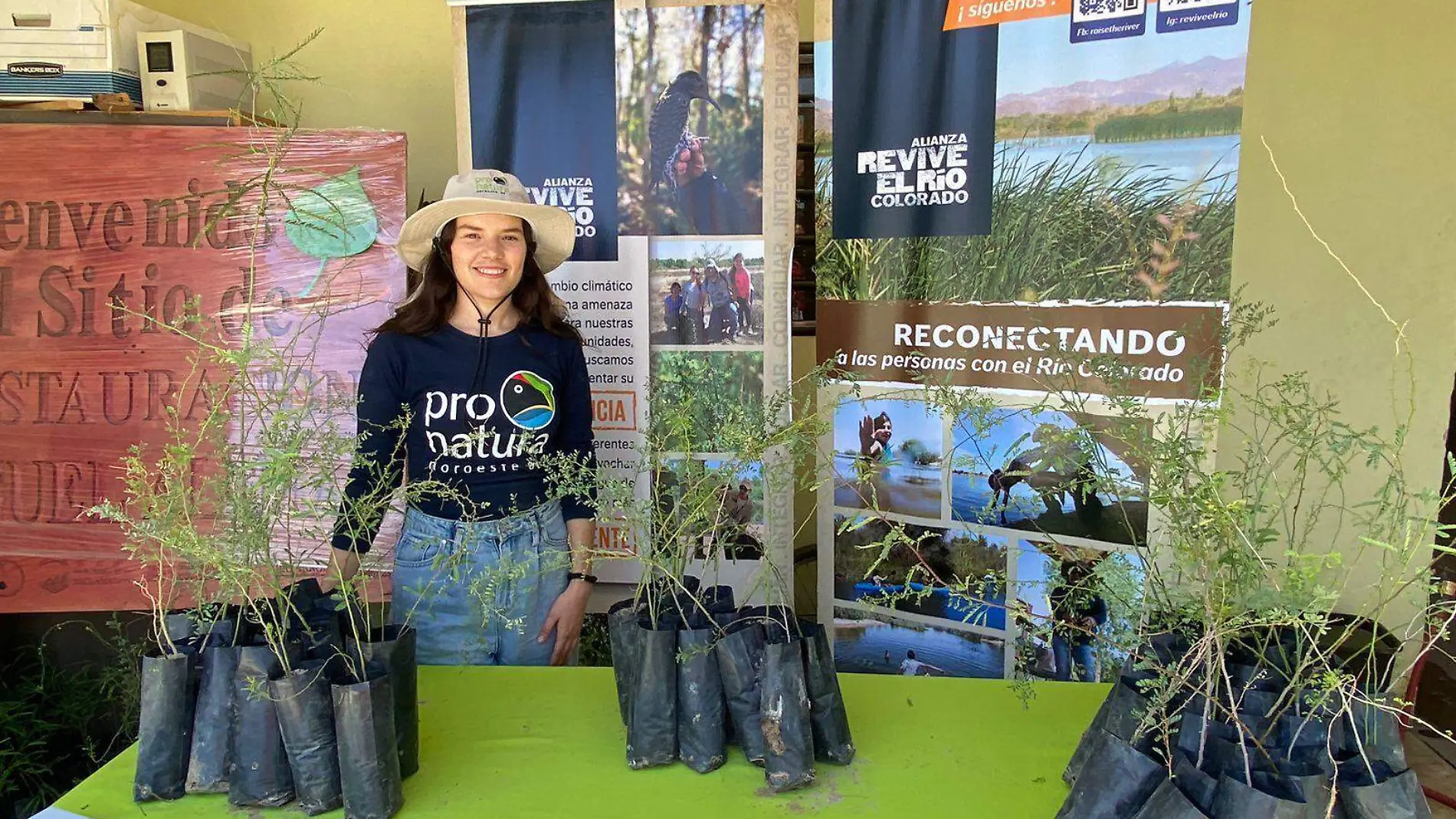 Los sanluisinos solicitaron a Pronatura Noroeste árboles en donación para reforestar sus jardines